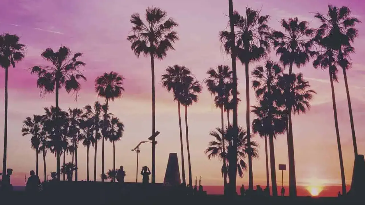Beach Blog Header