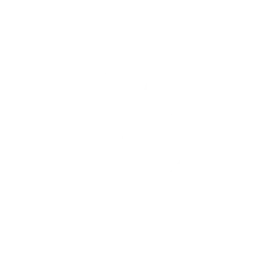 VW