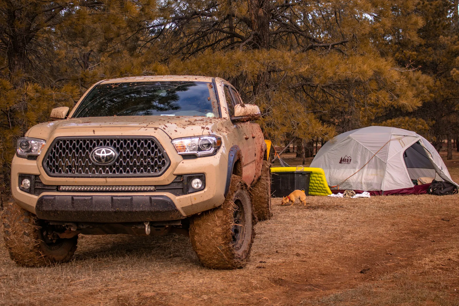 Toyota Tacoma