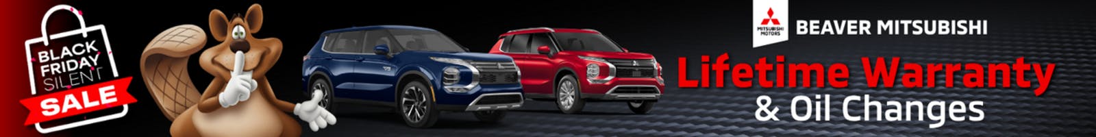 Lifetime Warranty & Oil Changes