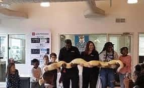 family fun day 2020