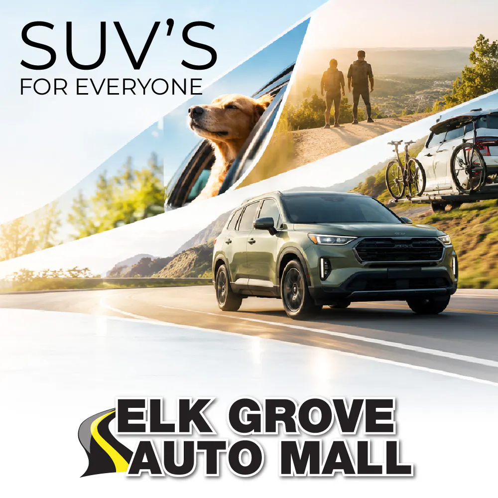 SUVs for Everyone