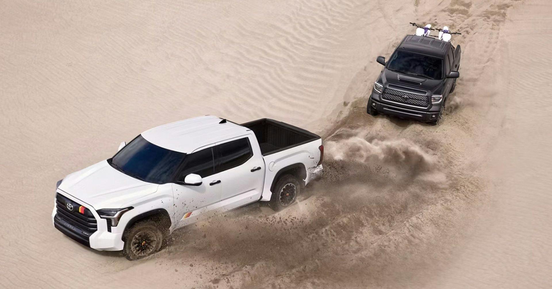 Tundra in the Desert