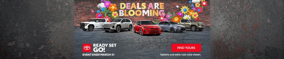 Deals are Blooming! | Five Star Toyota of Milledgeville