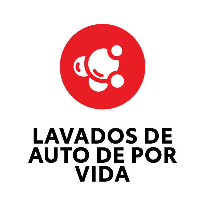 Lavados de auto de por vida