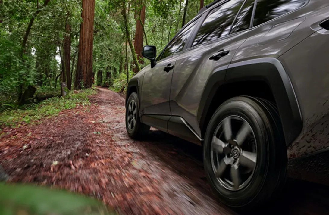 Toyota RAV4 driving on a forest trail