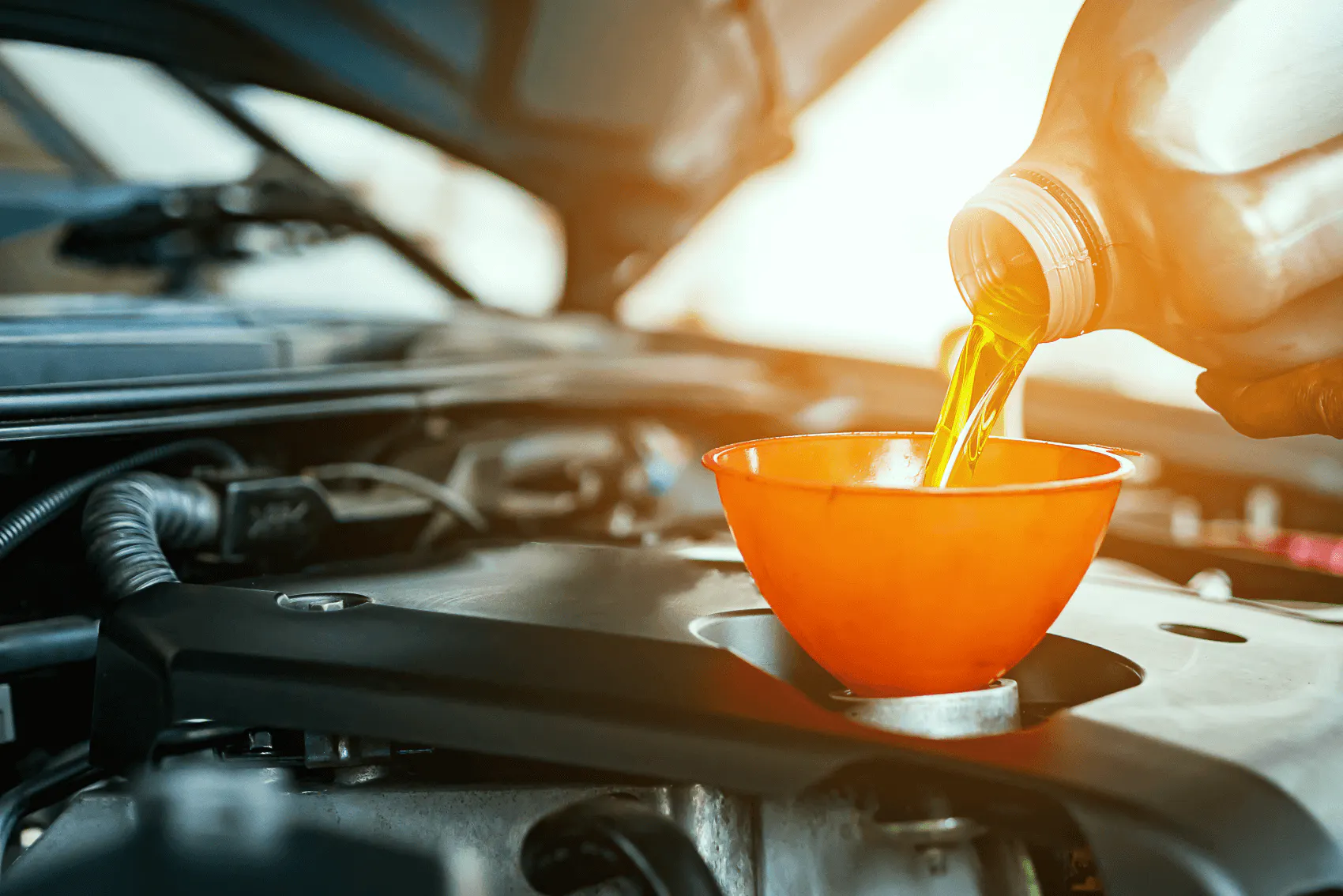 Motor oil is poured into a vechile using a funnel.