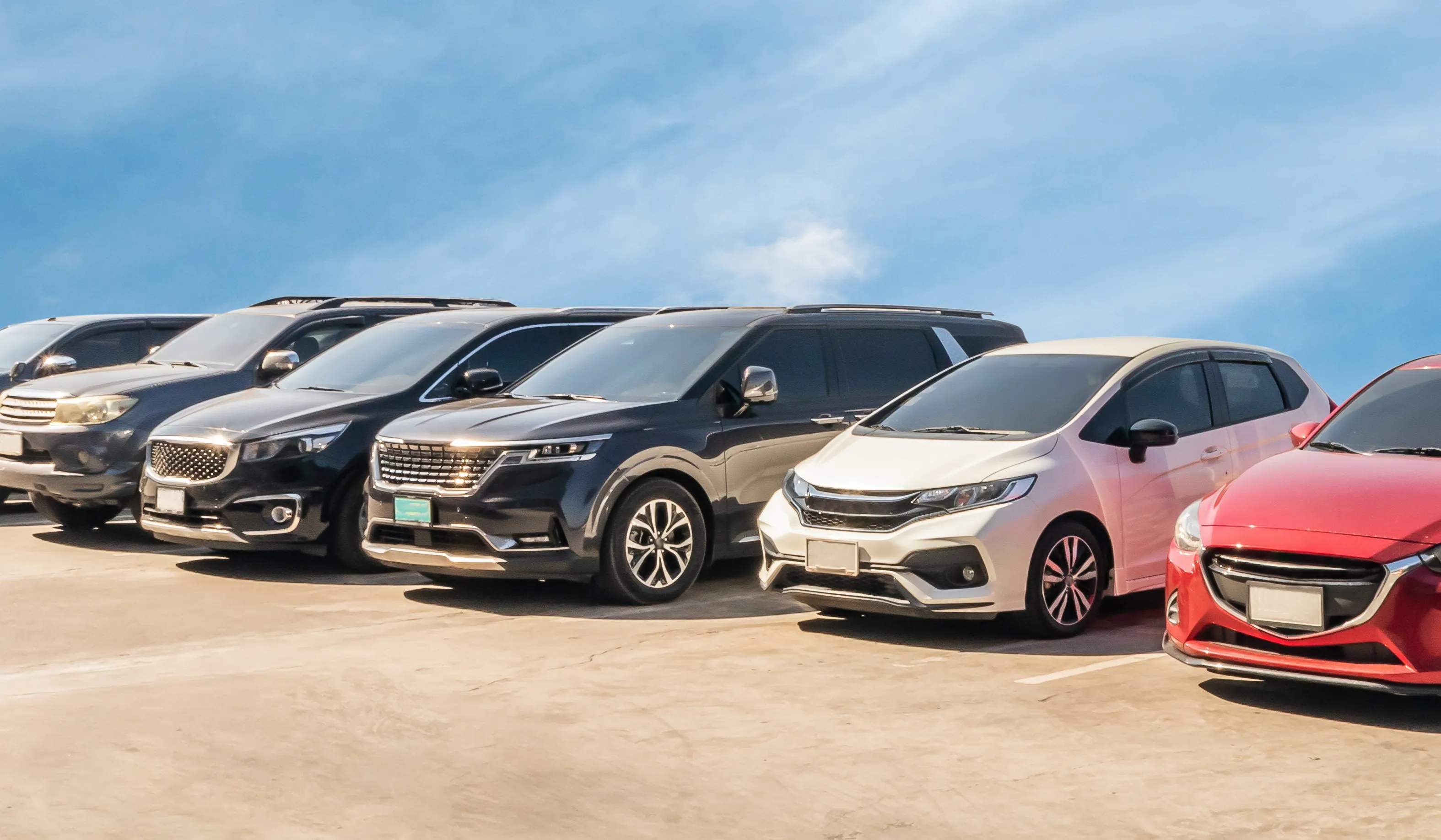 used cars in a row