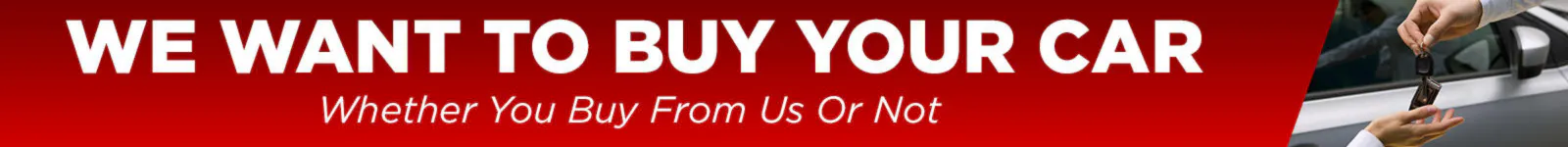 We Want To Buy Your Car