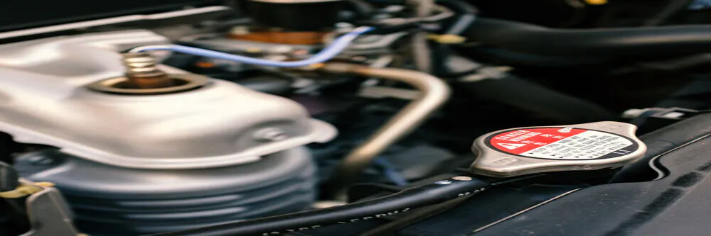 A/C Performance check & Cabin filter replacement | Landers Nissan