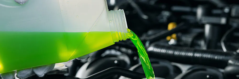 Flush Friday | Lowe Toyota of Warner Robins