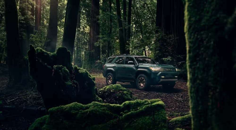 A green 2025 Toyota 4Runner Trailhawk parked off-road.