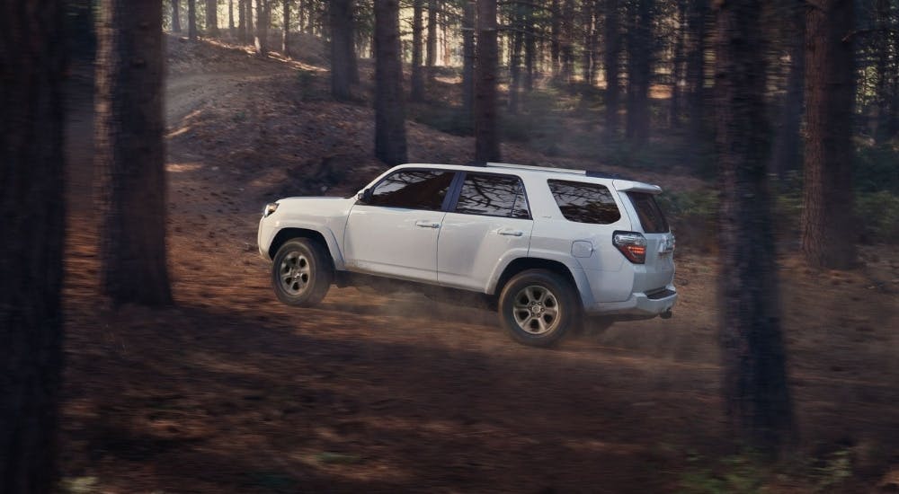 White 2024 Toyota 4Runner SR5 Premium for sale driving through a forest