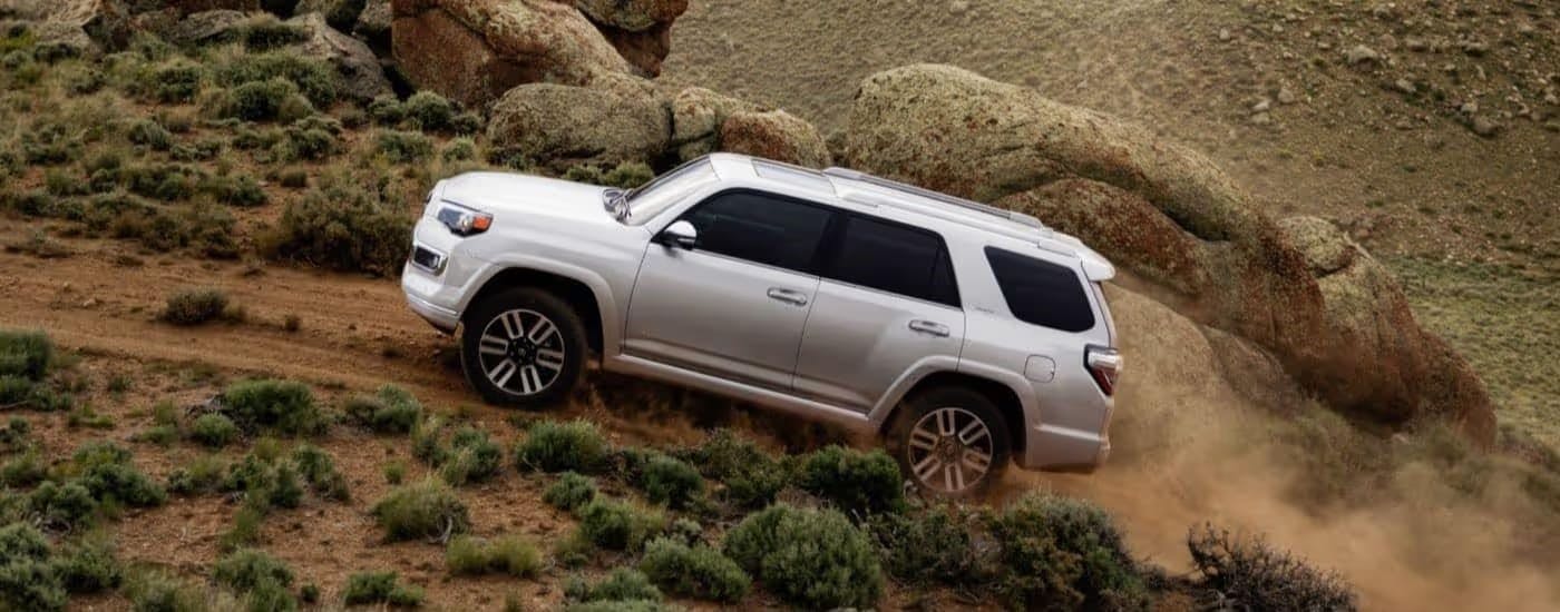 Side of a white 2025 Toyota 4Runner driving up a hill.