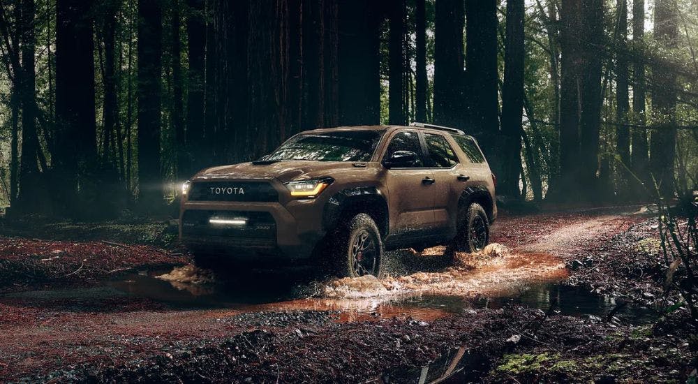 A brown 2025 Toyota 4Runner TRD Pro driving through muddy puddles in the woods.