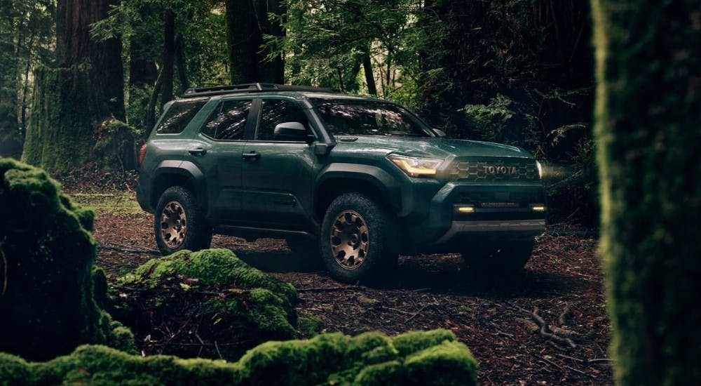 A green 2025 Toyota 4Runner Trailhunter driving through mossy trees in the woods.