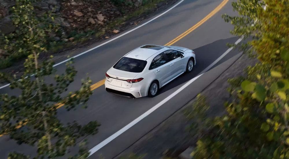 A white 2025 Toyota Corolla is shown from the rear at a high angle.