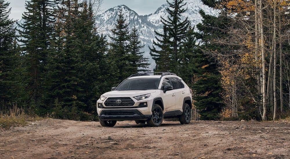 A white 2024 Toyota RAV4 is shown from the front at an angle.