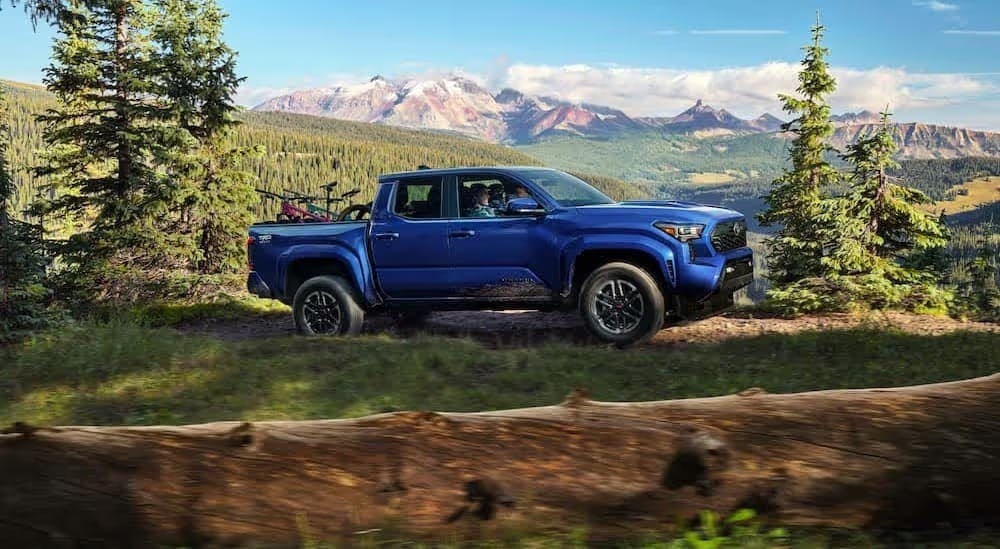 A blue 2024 Toyota Tacoma TRD Sport is shown driving off-road.