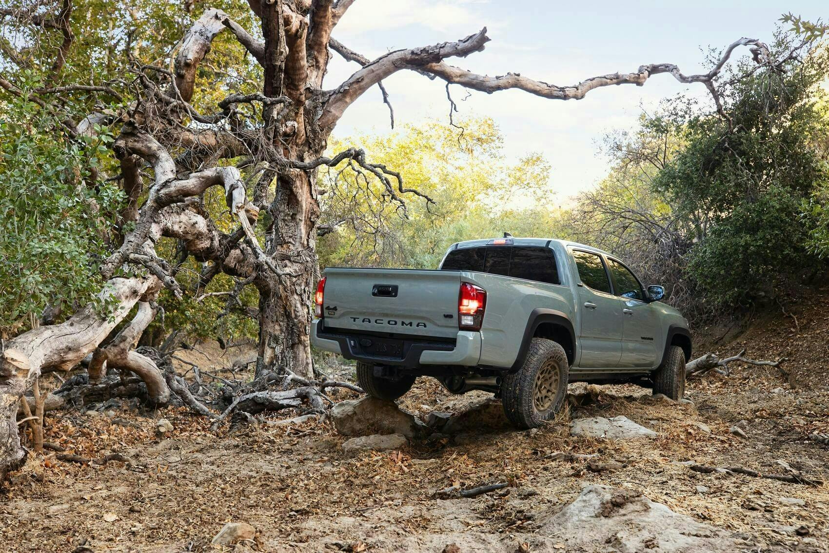 2024 Toyota Tacoma Preview