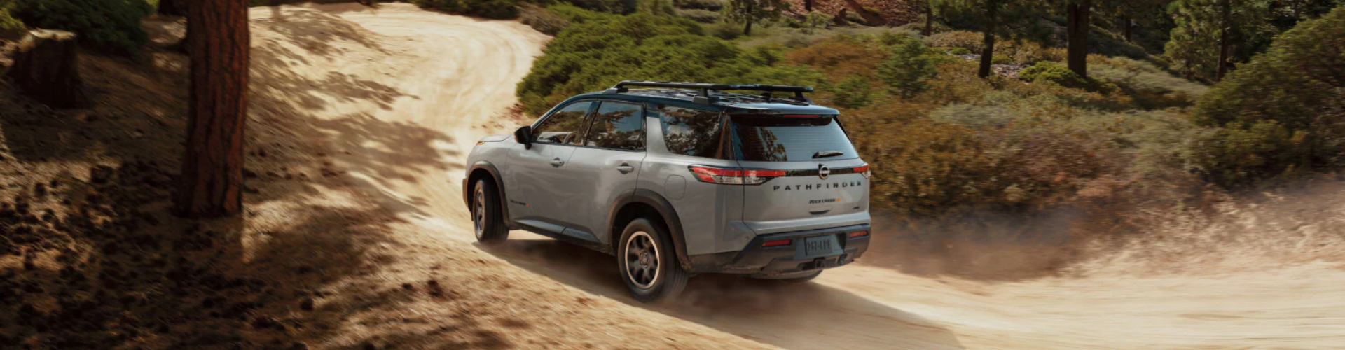 Nissan Pathfinder Silver