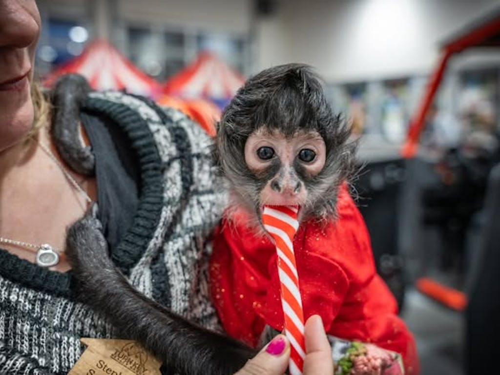 470197324_978587380958199_3710726129382138965_n