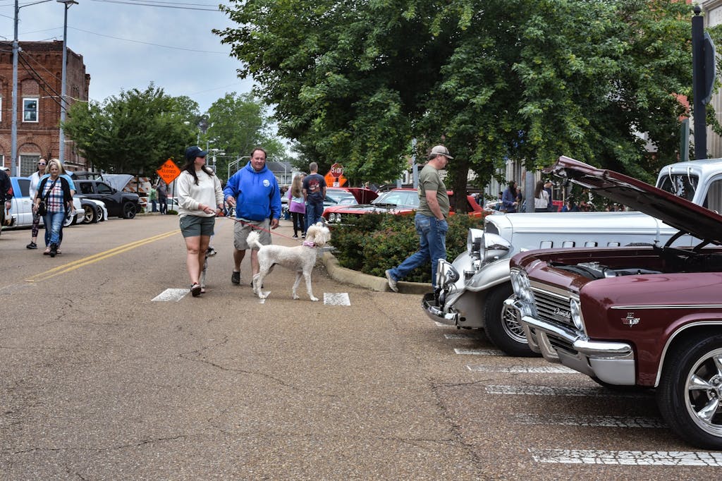 489928477_1193426512794739_3948544710026737152_n