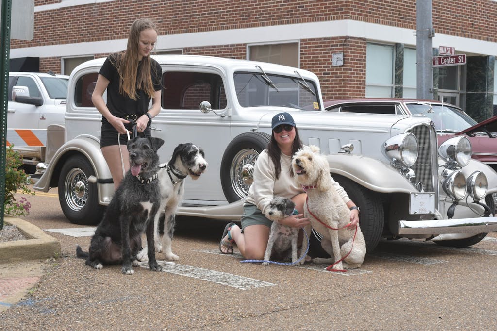 495392322_1193426146128109_1220730307501366137_n