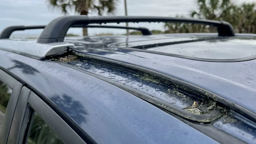 toyota moho protection - How to Protect Your Toyotas Paint