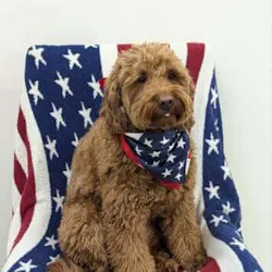 Frankie Franchella Photo