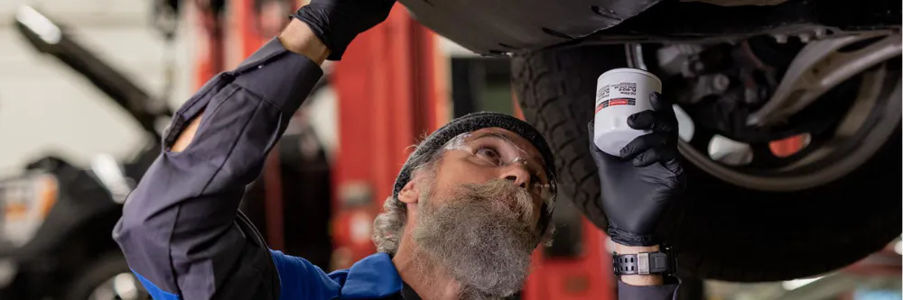 Get A $20 Rebate Or Earn 5,000 Ford Rewards Bonus Points On The Works® Package.* | Stamford Ford