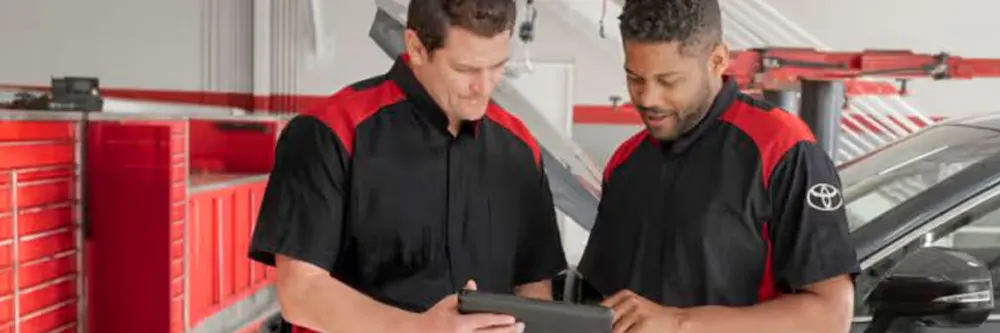 Engine Air Filter | Toyota Marin