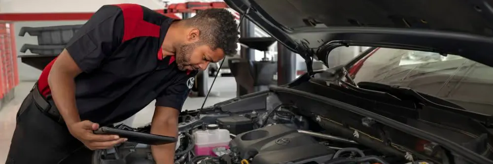 Transmission Fluid | Toyota Marin