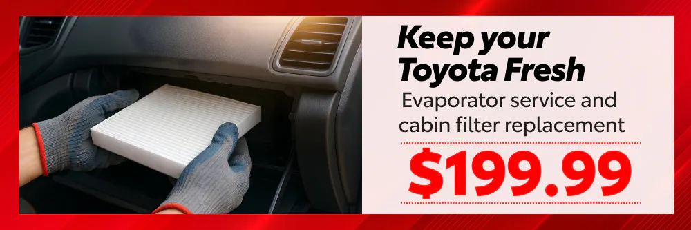 Keep Your Toyota Fresh | Toyota of Hollywood