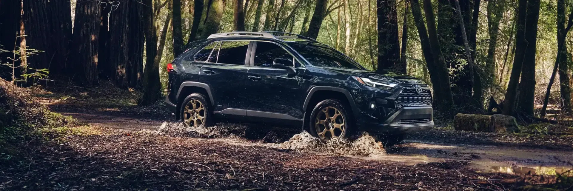 black RAV4