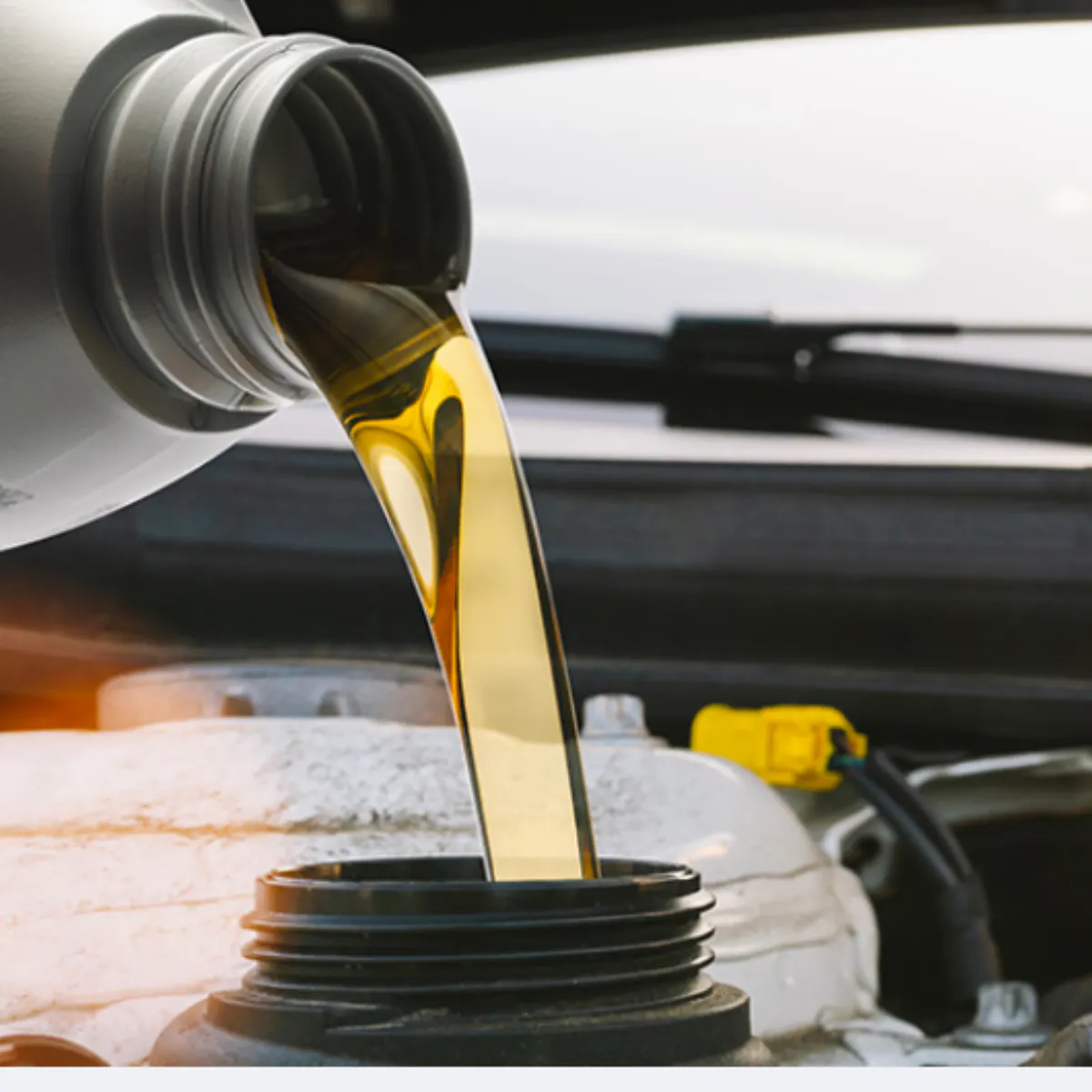 $79.99 SYNTHETIC OIL CHANGE | Toyota on Nicholasville