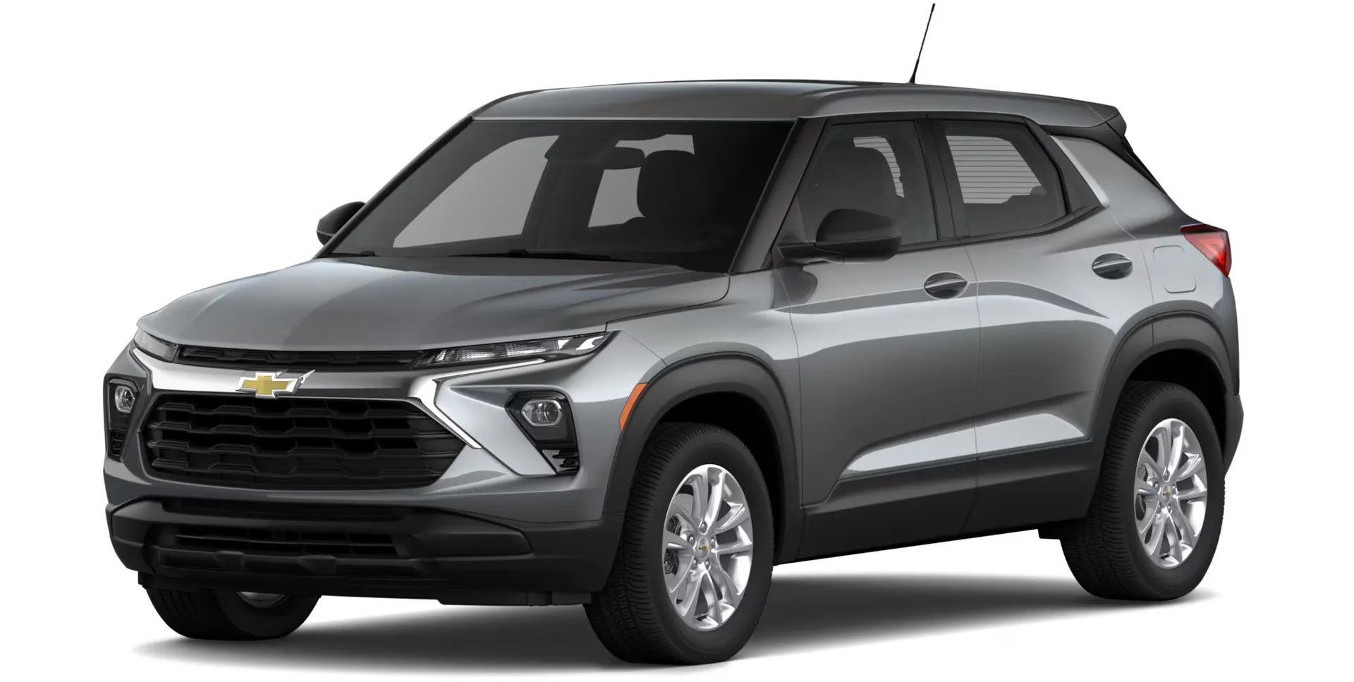 trailblazer LS trim.